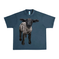 Midnight Navy suffolk baby sheep Urban Heavy Tee - LillyAllenDesigns