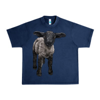 Navy suffolk baby sheep Urban Heavy Tee - LillyAllenDesigns