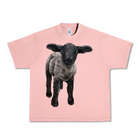 Salmon suffolk baby sheep Urban Heavy Tee - LillyAllenDesigns