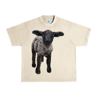 Sandshell suffolk baby sheep Urban Heavy Tee - LillyAllenDesigns