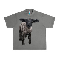 Tornado suffolk baby sheep Urban Heavy Tee - LillyAllenDesigns
