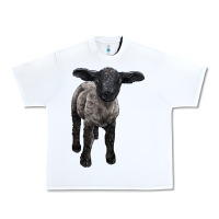 White suffolk baby sheep Urban Heavy Tee - LillyAllenDesigns