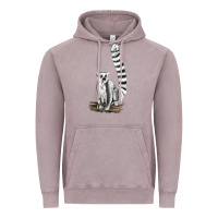 Vintage Zinc Ringtail Cat Vintage Hoodie - LillyAllenDesigns