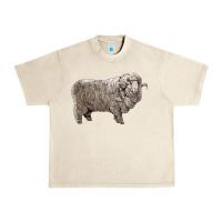 Sandshell rambouillet sheep Urban Heavy Tee - LillyAllenDesigns
