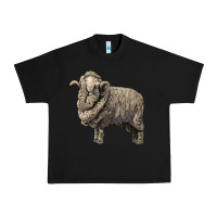 Black merino wool sheep Urban Heavy Tee - LillyAllenDesigns