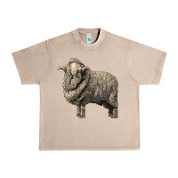 French Oak merino wool sheep Urban Heavy Tee - LillyAllenDesigns