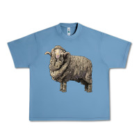 Pebble Blue merino wool sheep Urban Heavy Tee - LillyAllenDesigns