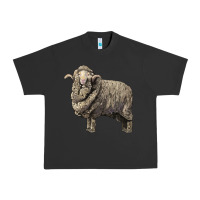 Pigment Black merino wool sheep Urban Heavy Tee - LillyAllenDesigns