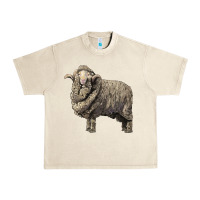 Sandshell merino wool sheep Urban Heavy Tee - LillyAllenDesigns