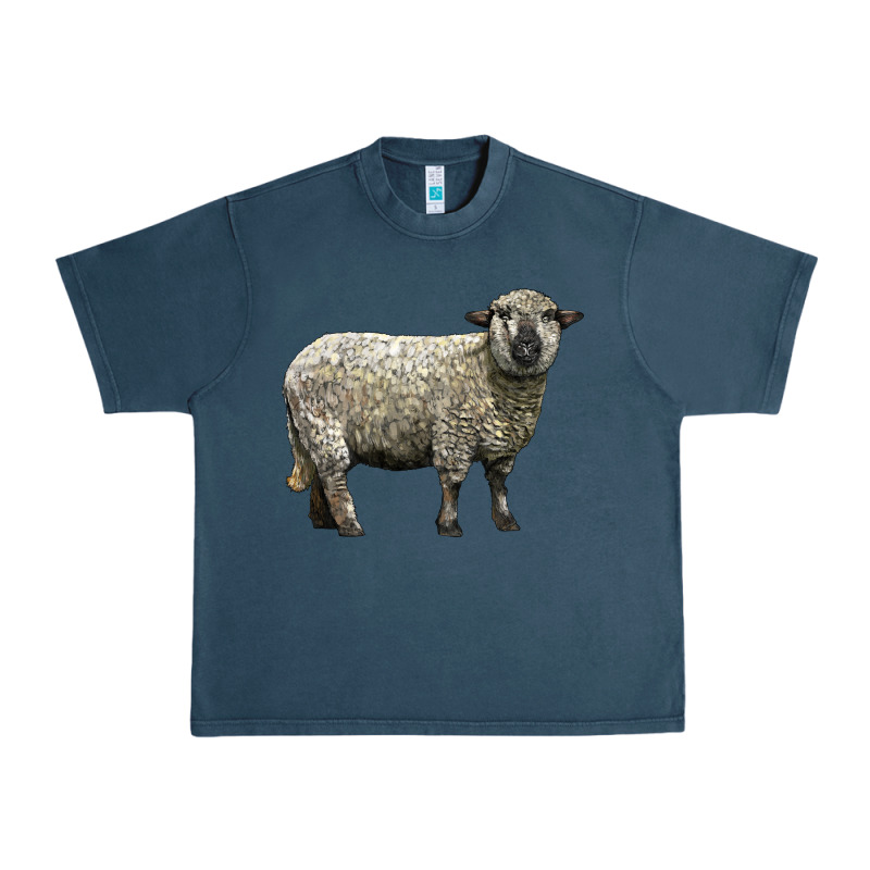 Hampshire Sheep Urban Heavy Tee by LillyAllenDesigns | Teevron