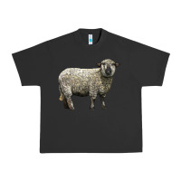Pigment Black hampshire sheep Urban Heavy Tee - LillyAllenDesigns