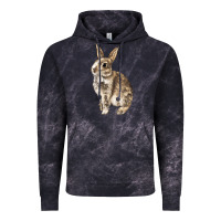 Cloud Black Rabbit Vintage Hoodie - LillyAllenDesigns