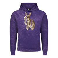 Cloud Purple Rabbit Vintage Hoodie - LillyAllenDesigns