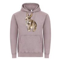 Vintage Zinc Rabbit Vintage Hoodie - LillyAllenDesigns