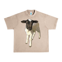 French Oak dorper baby sheep Urban Heavy Tee - LillyAllenDesigns