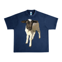Navy dorper baby sheep Urban Heavy Tee - LillyAllenDesigns
