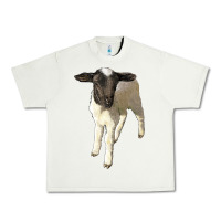 Pistachio dorper baby sheep Urban Heavy Tee - LillyAllenDesigns