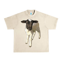 Sandshell dorper baby sheep Urban Heavy Tee - LillyAllenDesigns