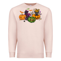 Pale Pink Black cat and pumpkin Premium Sweatshirt - NancyCooperArtShop