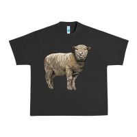 Pigment Black southdown sheep Urban Heavy Tee - LillyAllenDesigns