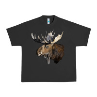 Pigment Black moose buck deer head Urban Heavy Tee - LillyAllenDesigns
