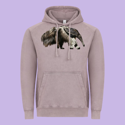 Anteaters Vintage Hoodie Designed By Lillyallendesigns