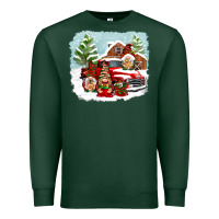 Sports Green Christmas gnomes with red truck Premium Sweatshirt - NancyCooperArtShop