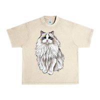Sandshell Ragdoll Cat Urban Heavy Tee - LillyAllenDesigns