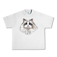 Lunar Rock Ragdoll Face Cat Urban Heavy Tee - LillyAllenDesigns