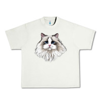 Pistachio Ragdoll Face Cat Urban Heavy Tee - LillyAllenDesigns