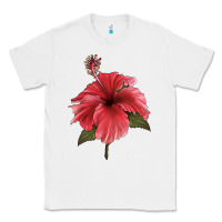 White Puerto Rican Hibiscus Flower Illustrations Classic Tee - LillyAllenDesigns