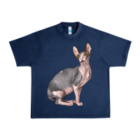 Navy Sphynx Cat Urban Heavy Tee - LillyAllenDesigns