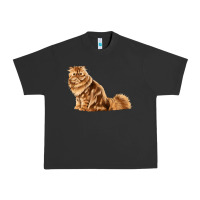 Pigment Black Persian Cat Urban Heavy Tee - LillyAllenDesigns