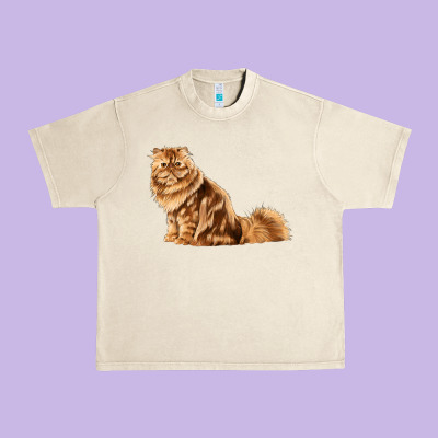 Persian Cat Urban Heavy Tee Designed By Lillyallendesigns
