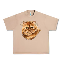 Burro Persian Cat Face Urban Heavy Tee - LillyAllenDesigns