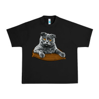 Black Scottish Fold Urban Heavy Tee - LillyAllenDesigns