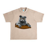 French Oak Scottish Fold Urban Heavy Tee - LillyAllenDesigns
