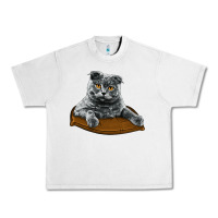 Lunar Rock Scottish Fold Urban Heavy Tee - LillyAllenDesigns