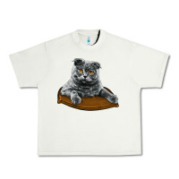 Pistachio Scottish Fold Urban Heavy Tee - LillyAllenDesigns