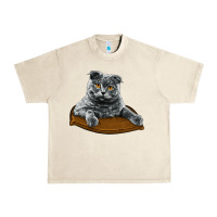 Sandshell Scottish Fold Urban Heavy Tee - LillyAllenDesigns