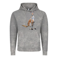 Cloud Rock kangaroo Vintage Hoodie - LillyAllenDesigns