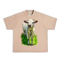 Burro Charolais Heifer Urban Heavy Tee - LillyAllenDesigns