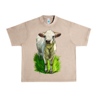 French Oak Charolais Heifer Urban Heavy Tee - LillyAllenDesigns