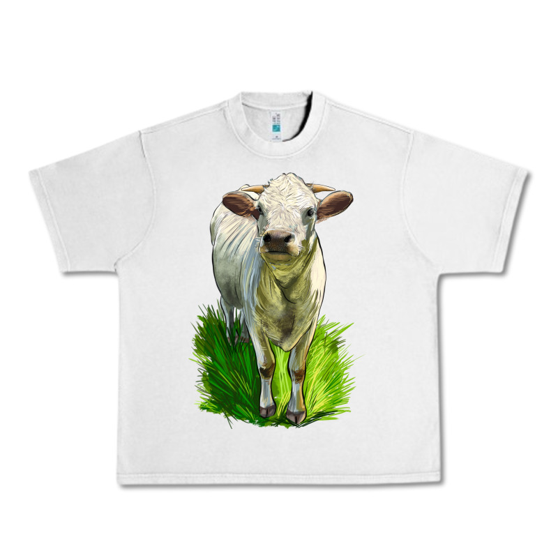 Charolais Heifer Urban Heavy Tee by LillyAllenDesigns | Teevron