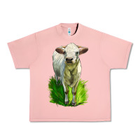 Salmon Charolais Heifer Urban Heavy Tee - LillyAllenDesigns