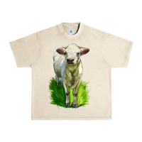 Sandshell Charolais Heifer Urban Heavy Tee - LillyAllenDesigns
