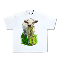 White Charolais Heifer Urban Heavy Tee - LillyAllenDesigns