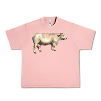 Salmon charolais cattle Urban Heavy Tee - LillyAllenDesigns