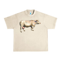Sandshell charolais cattle Urban Heavy Tee - LillyAllenDesigns