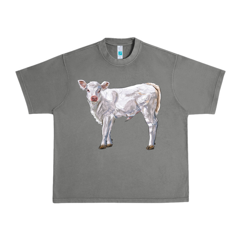 Charolais Calf Urban Heavy Tee by LillyAllenDesigns | Teevron
